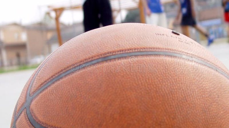 住宅小区绿化设计：规范要求与实施要点**
