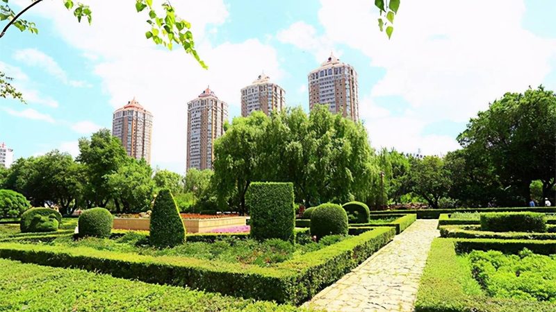 垂直绿化仿真植物墙：不只是美观，更有深层价值