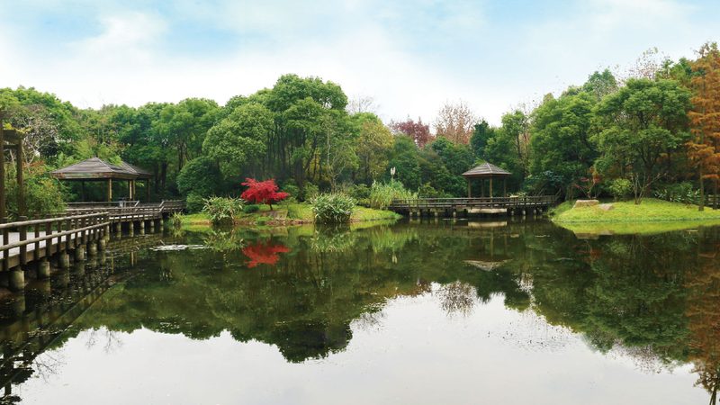 私家花园设计效果图与预算：从想象到落地的距离
