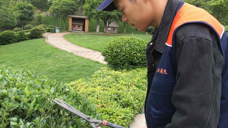 个人绿化资质加盟代理：可靠吗？关键在于这几点**