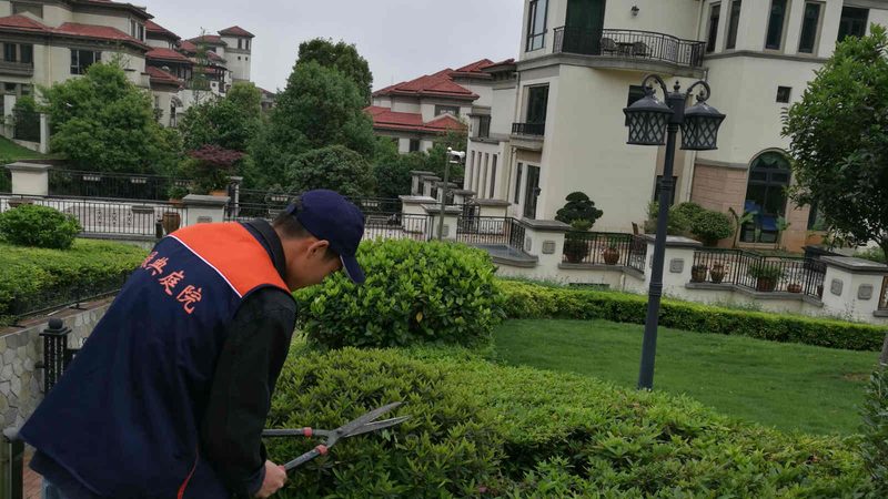 市政绿化苗木选择：关键指标与注意事项