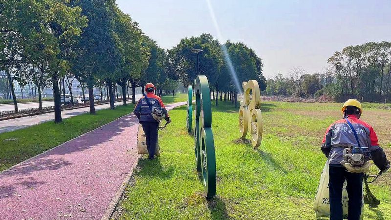 园林绿化苗木采购清单流程：关键步骤与注意事项**