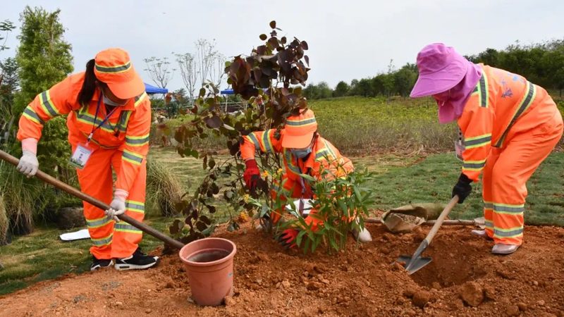 室内垂直绿化植物价格几何？揭秘影响因素与选购策略**