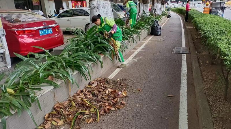 花卉租摆方案设计多少钱