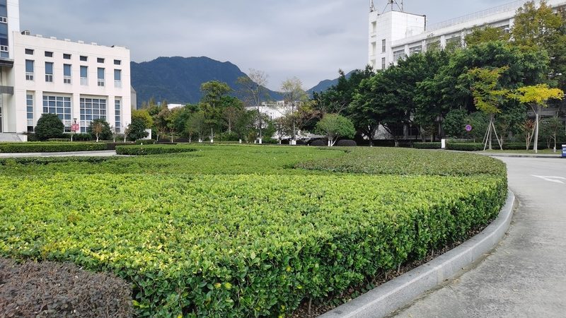 小区绿化养护报价单模板：如何科学评估养护成本**