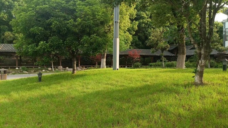 小区绿化报价清单，如何解读其背后的秘密？**